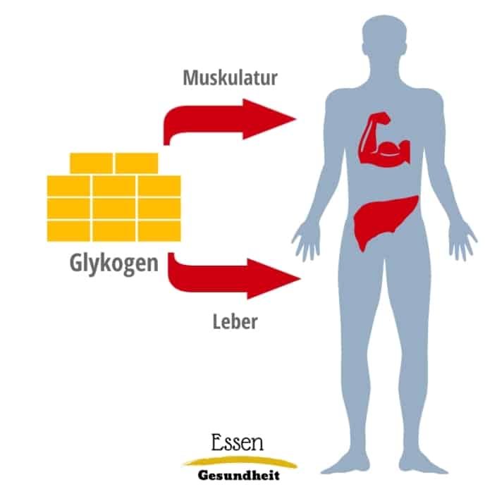 Der Kohlenhydrate-Guide – Essen Gesundheit